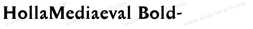 HollaMediaeval Bold字体转换